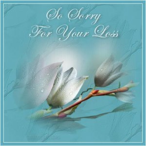 a sympathy card.jpg