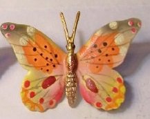 butterfly.jpg