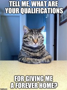 Forever home.jpg