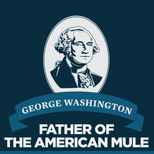 GWmule1.gif GWmule1.gif