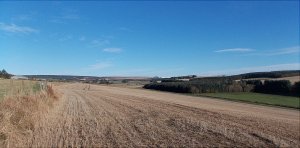fields.jpg