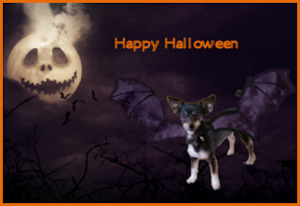Happy Halloween From Lily.png