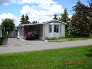 DSC00749 (1).jpg