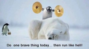 Penguins.jpg