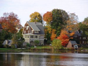 a foliage at El pond.jpg