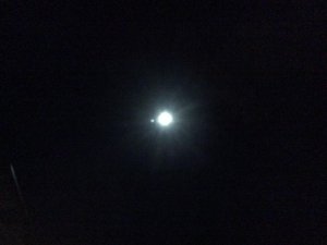 IMG_2119.jpg