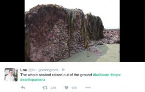raised sea bed.JPG