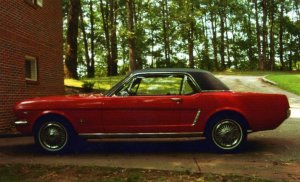 Mustang 14.jpg