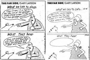 far side.jpg