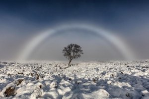 _92603062_fogmow.jpg