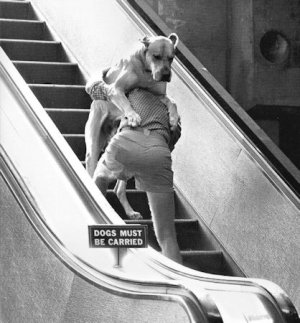 Escalator @.jpg