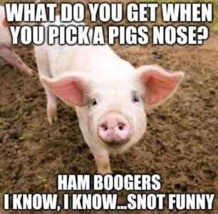 6c9912924ce5d000c8a8060f86c54c96[1].jpg