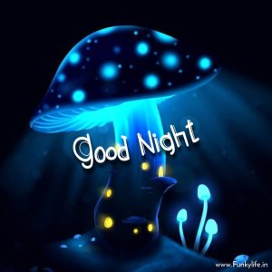 good-night-image-22.jpg