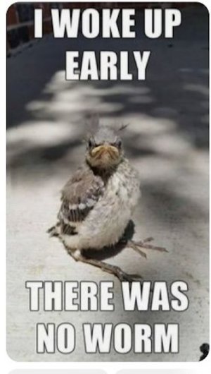 bird worm.jpg