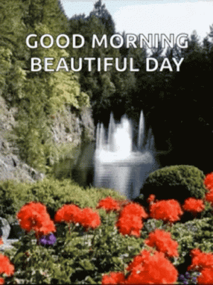 good-morning-beautiful-day.gif