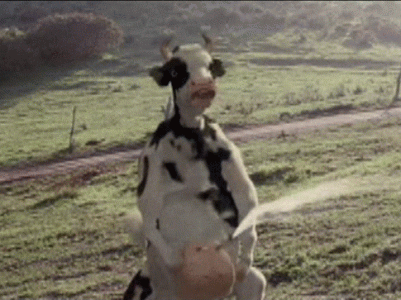 milking-cow.gif