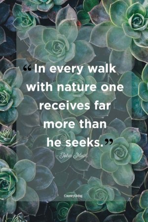 john-muir-nature-quote-1519848118.jpg