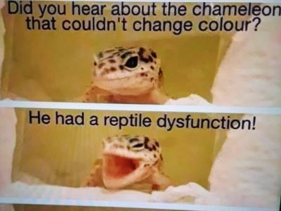 A Reptile Dysfunction.jpg