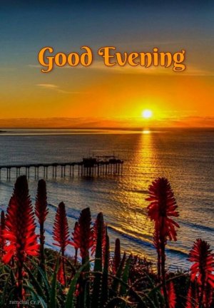 70bec2d33dbbc2c52c9cce738494d426.jpg