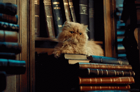 cat-books.gif