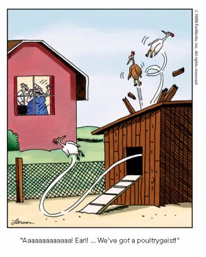 4FE01D47-AE42-408B-A4F4-DDB178FCB38A.jpeg 4FE01D47-AE42-408B-A4F4-DDB178FCB38A.jpeg