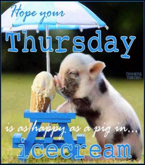 Hope your Thursday is happy.jpeg