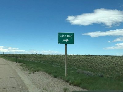 284465156_10221370533436396_1655375165998689285_n.jpg