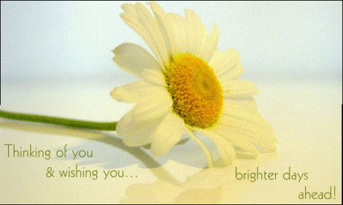 Thinking you flower.GIF