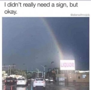 0363F453-D129-4F01-96BF-E3238678BEB6.jpeg