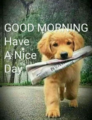 f9b6d877-5b7f-46f9-bcdd-43304f86d010.jpeg