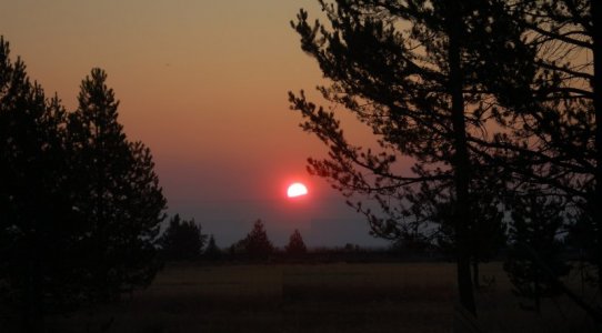 morning rise.jpg morning rise.jpg