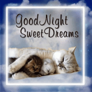 good-night-cat.gif