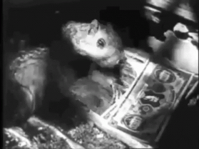 squirrel atm.gif
