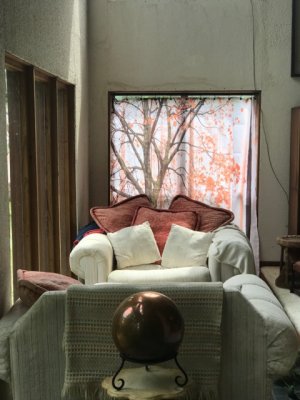 IMG_1036.jpeg