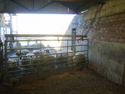 SV201209.JPG