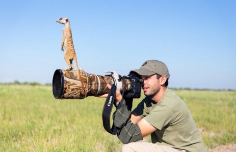 wildlife photographers life.jpg