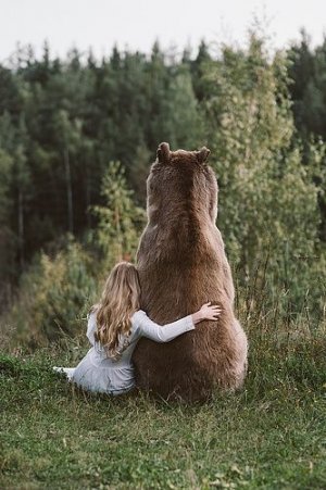 peace bear.jpg