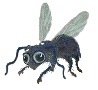 animated-gifs-insects-100-1621878880.gif