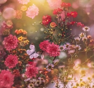 follow new floral.jpg