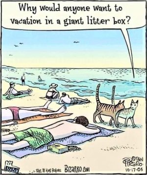 FB_IMG_1654546127187.jpg