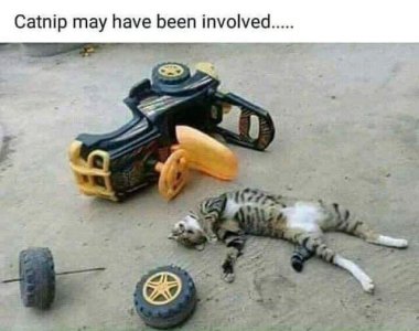 4F895C38-D9DF-4CBD-87F9-8CE5E594E8BE.jpeg