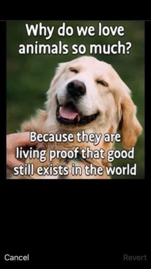 BEF441C7-78BE-49F3-8B07-3548438C913D.jpeg