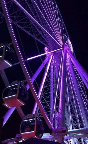 tumblr_26e3b8ec5f4477faa6d02c379ff1097b_4db03a58_640.jpg