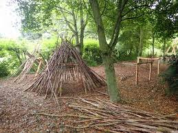 images (1).jpg images (1).jpg