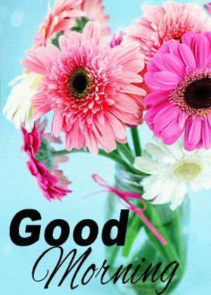 90268c773972a6c2691615727726485d.gif
