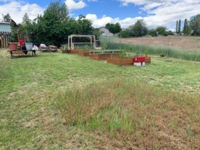 weed patch.jpg