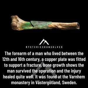 9A31749A-F0ED-451F-A937-0B0A167EE63A.jpeg