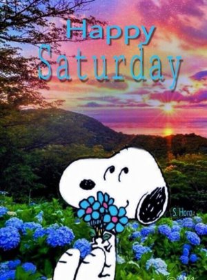 09DB6C9D-CACD-4716-BD7E-10B5FE974400.jpeg