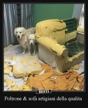 928fcf963ca7689d5cb58d3a8dc0350f[1].jpg