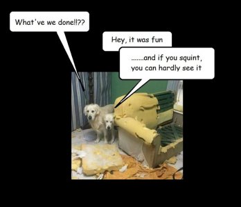 928fcf963ca7689d5cb58d3a8dc0350f[1].jpg